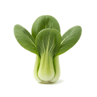 チンゲン菜