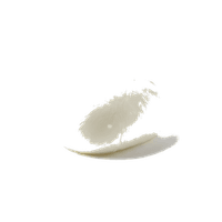 フレッシュモッツァレラ