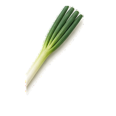 長ネギ