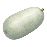 冬瓜